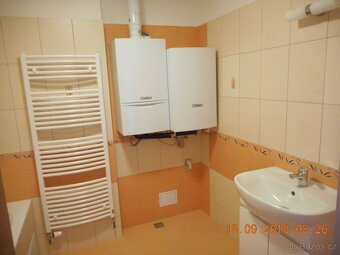 Pronajmu byt 2+1 - 3