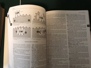 Velký Lékařský Slovník - 3