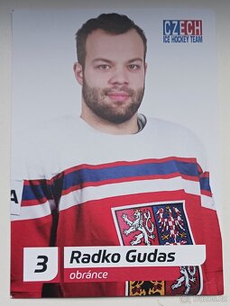 PASTRŇÁK,HANZAL,GUSAS,ŠUSTR,PALÁT - prodám REPRE fotky. - 3