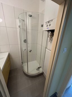 Byt 1+1 k pronajmu v Praze 6, Brevnov, BEZ PROVIZE - 3