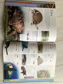 Zvířata - dětská obrazová encyklopedie - 3