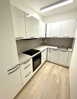 nový byt 2+kk, 69m2 v ul. Basilejské náměstí, Praha 3-Žižkov - 3