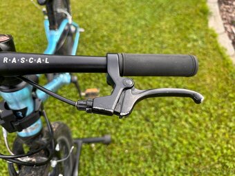 Rascal 20 - 3
