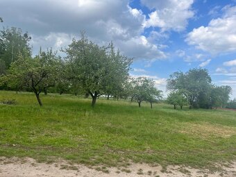 Ovocný sad 5219 m2 - 3