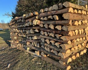 Smrk, štípané palivové dřevo z probírky lesa - 3