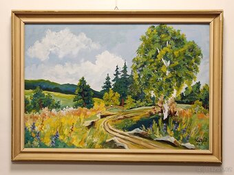Obrazy 4ks Alois Kokáč, olej 50x70 - 3