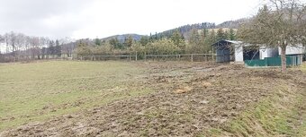 Oplocený pozemek 11.000m2 pro koně, atd. + maringotka. - 3
