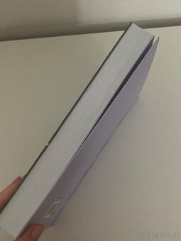 Právo a společnost - Luhmann - 3