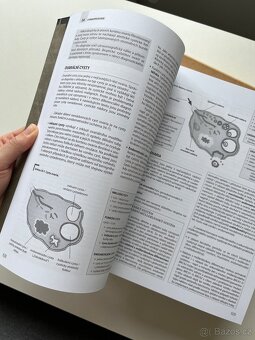 Zámečník - Patologie - 3