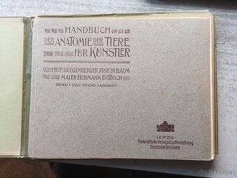 Handbuch Děr Anatomie Děr Tiere für Kustler - 3