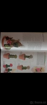 Pokojové rostliny - 3