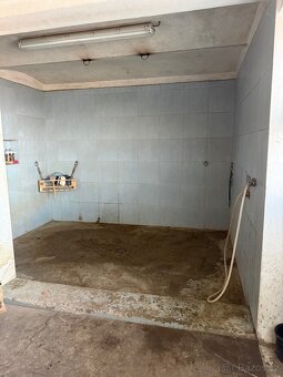 Ustájení koní - box - 3