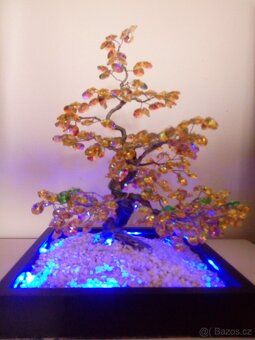 Bonsai - 3