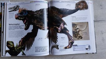 Zvířata a Dinosauři v kostce - 3