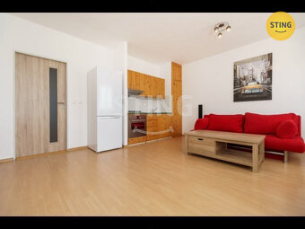 Pronájem 1+Kk, ul. Horní, Ostrava - Bělský Les, 133905 - 3