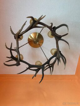 LUSTR Z PAROŽÍ - 3