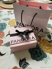 Pandora náramek + přívěsek sovička - 3