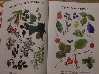 NOVÁ Ottova velká kniha předškolák Plicková - 3