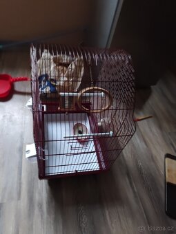 Ptáci Klec - 3