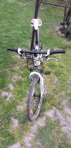 Scott Spark jr - 3