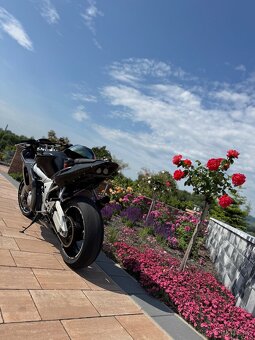 Yamaha R6 - 3