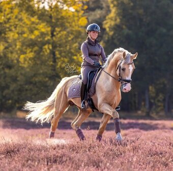 Podsedlova decka Equestrian Stockholm Amaranth DL a PVS - 3
