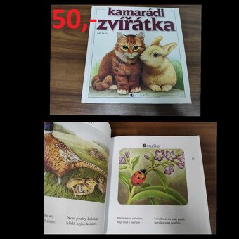 Puzzle dřevěné, puzzle, knížky, plyšáci aj. - 3