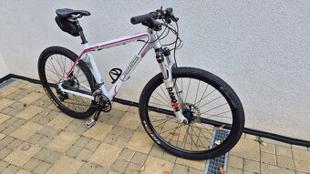 Kolo damske Pells Elite - 3