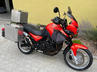 Triumph Tiger 955i - 3