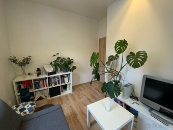 Pronájem bytu 4+kk s předzahrádkou a parkováním - 3