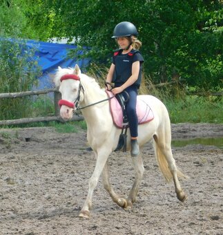 valach pony - 3