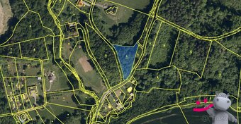 Prodej lesa 2 191 m², Zašová, ev.č. 58883 - 3