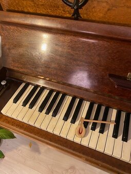 Pianini PETROF - 3