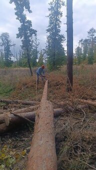 Zahradnické práce - 3