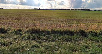 Pole u Zbýšova_Kutná Hora - 3