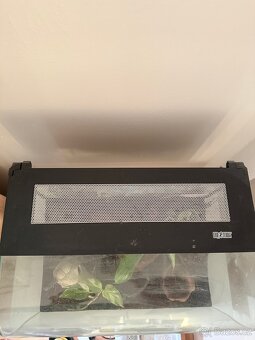 Exo Terra terárium - 3