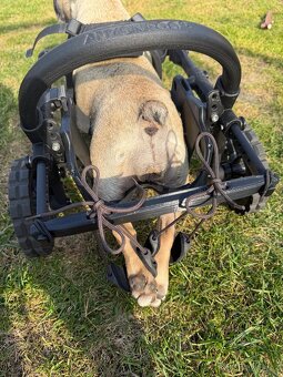 Vozíček Anyonego - 3