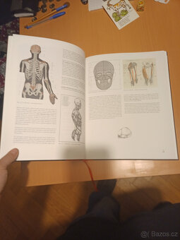 Výtvarná anatomie - 3
