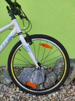 Značkové dětské kolo GIANT ARX 24" (Snow Drift) - 3