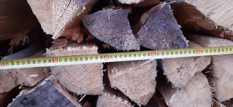Palivové dřevo - 3
