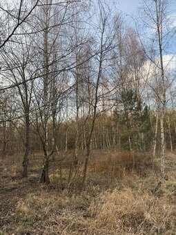 Prodám pozemky v k.ú. Stéblová - 3