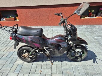 Mokik MS Steward (STELLA) /MORINI/ - BABETTA - 3
