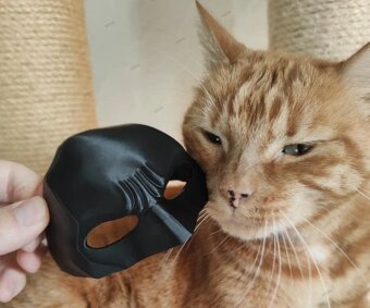 Batman maska pre mačku - 3