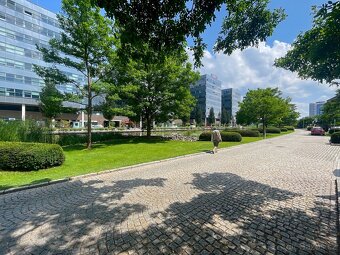 Pronájem kanceláře, 60 m2 - Brno - Štýřice, ev.č. CZ3ws978 - 3