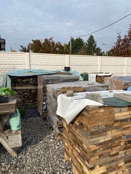 Palivové dřevo - 3