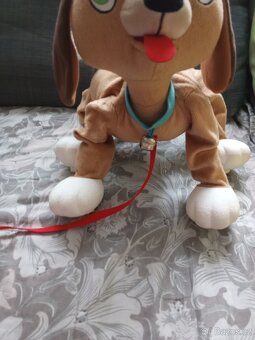 Krásný pejsek floppy - 3