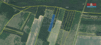 Prodej lesa, 6619 m², Řeřichy - 3