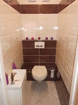 Pronájem bytu 2+1 55 m2 16 000,- Kč. - 3