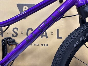 Rascal 20 LTD - 3