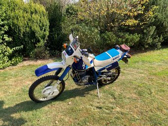Suzuki DR 600 Djebel - 3